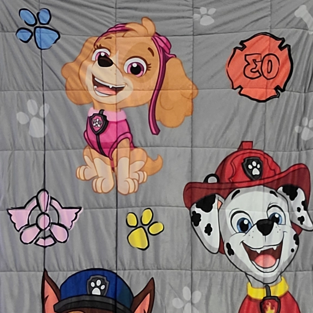 Paw Patrol weighted blanket - Picture 5 of 16